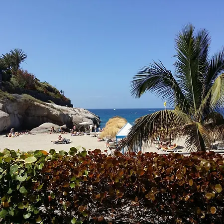 Casa Oasis Del Duque Close To Beach, Terrace, Pool, Wifi 公寓 阿德耶